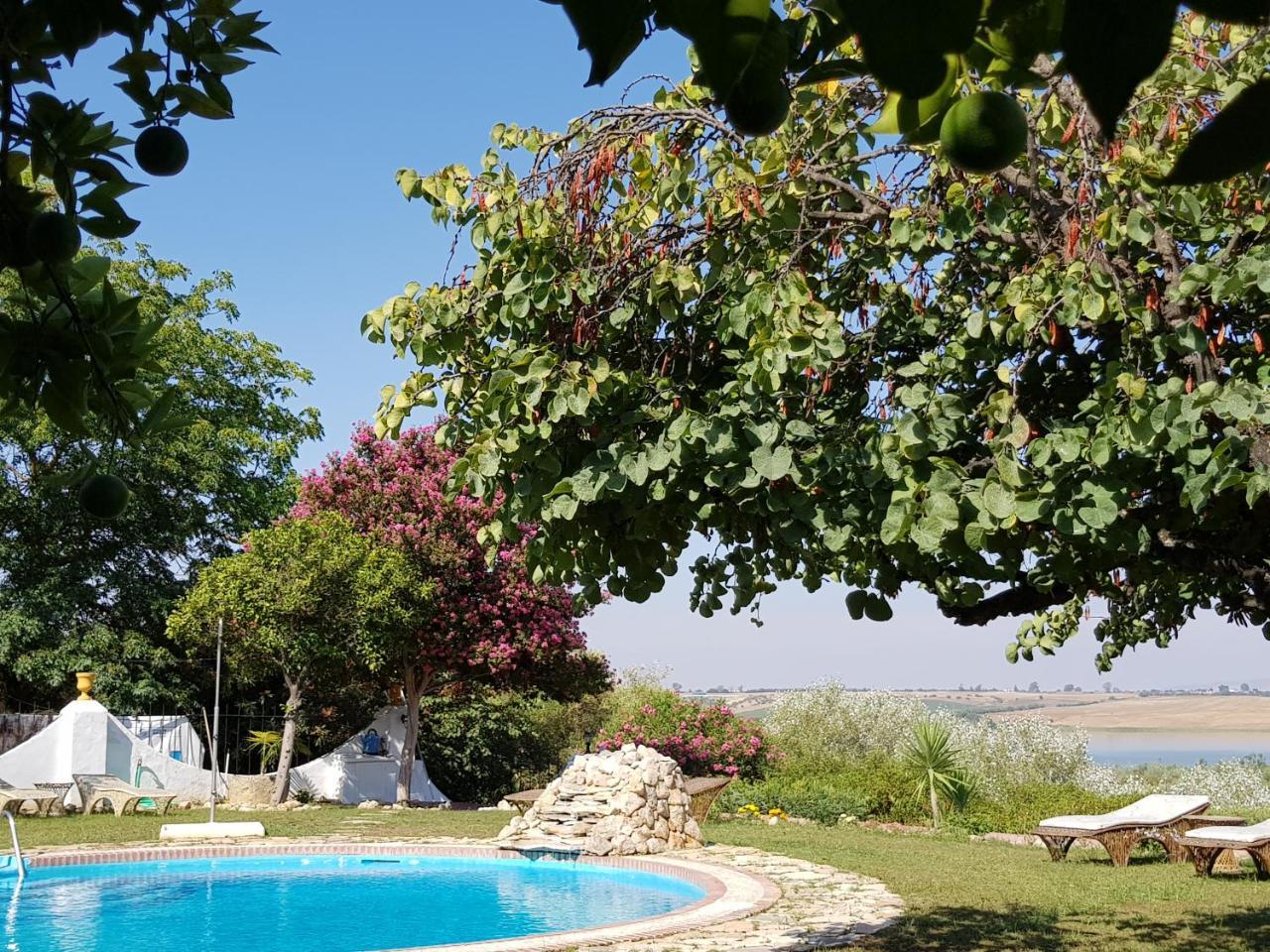 Отель Hacienda El Santiscal Adults Only Аркос де ла Фронтера Экстерьер фото